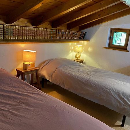 Chalet Erminea Chamonix Esterno foto